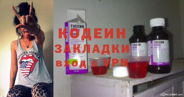 хмурый Белокуриха