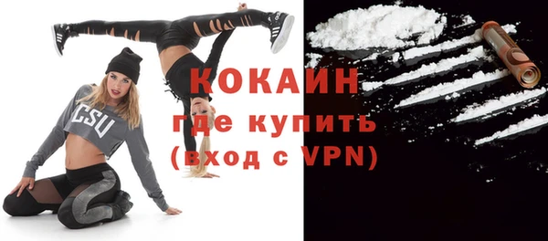 хмурый Белокуриха