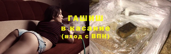хмурый Белокуриха