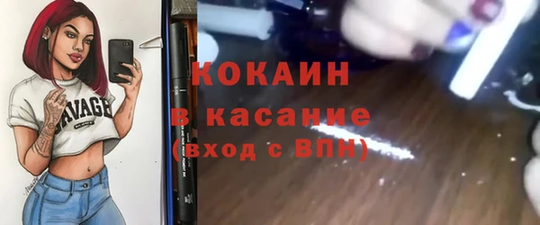 хмурый Белокуриха