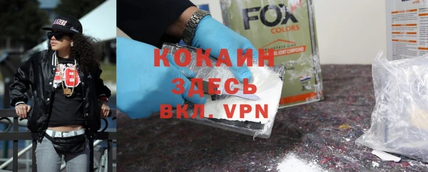 хмурый Белокуриха