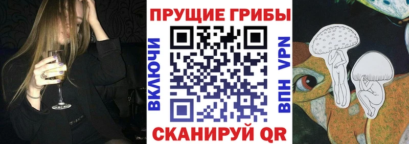 Псилоцибиновые грибы Psilocybe hydra маркетплейс Пойковский
